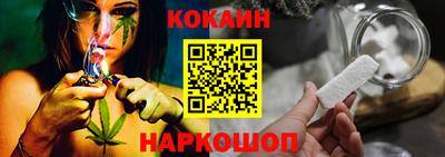 прущие грибы Будённовск