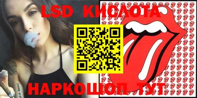 прущие грибы Будённовск