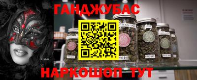 прущие грибы Будённовск