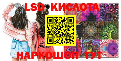 прущие грибы Будённовск