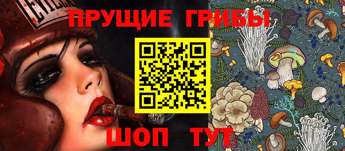Псилоцибиновые грибы Cubensis  Вход с VPN  Псилоцибиновые грибы прущие грибы  купить наркоту  Чернушка 