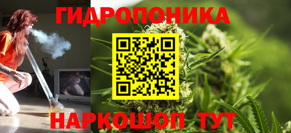 Шишки марихуана White Widow Чернушка